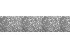 Upcyte - Keratinocytes