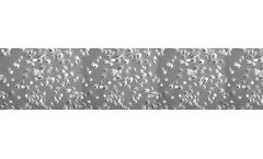 Upcyte - Keratinocytes
