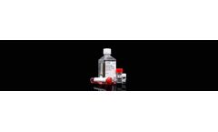 Upcyte - Hepatocyte Medium