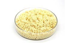 Lijiang - Model D113 - Weak Acid Cation Resin