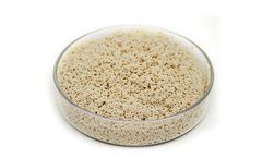 Lijiang - Model D301 - Weak Base Resin