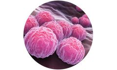 BacVax - Commercial Bacterial Vaccines