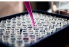 Method Validation Services