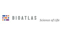 Atlas Pfu DNA Polymerase