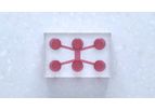 Model DuaLink - Microfluidic Chip