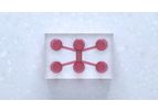 Model DuaLink Ultra - Microfluidic Chip