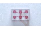 Model DuaLink MEA - Microfluidic Chip