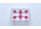 Model DuaLink Shift - Microfluidic Chip