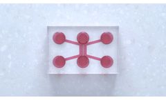 Model DuaLink Shift - Microfluidic Chip