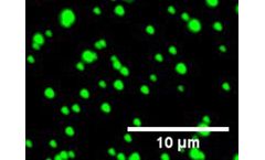 Adjuvatis i-Particles - Fluorescent Diagnostics