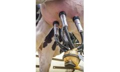 µBead Sensor Technology for Agriculture & Food Processing industry