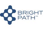 Bright Path - Rapid Drug Development Service