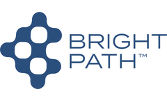 Bright Path - Rapid Drug Development Service