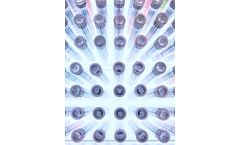 Bright Path - Custom API Process Development and Manufacturing Service