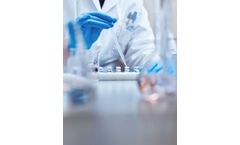 Bright Path - Key Starting Materials, Intermediates Process Development and Manufacturing Services