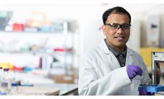 Impurity Isolation, Identification & Characterization Services