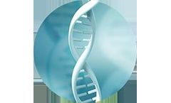 Model Plasmid DNA - Critical Raw Material for Advanced Therapeutics