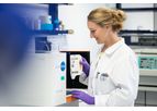 Fast-Track Antibody Development Service