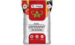 Pulcu - Model 20-10-10+10S - Granular NPK Fertilizer