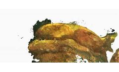 Savante - Mooring Chain Inspection Services