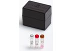 Eurogentec - 18S rRNA Control Kit FAM-TAMRA - 250 rxn (50 µl)