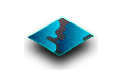 Elis - Submerged Geomembranes Installation Services