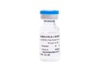 Henlius - Model HLX14 - Recombinant Anti-RANKL Human Monoclonal Antibody Injection