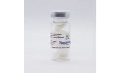 Huma OsteoGelatin - Model ~300g (BGHL) - Human Gelatin, Lyophilized, High Bloom