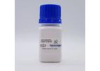 Huma OsteoGelMA - Model BMHL/BMML - Human Gelatin Methacrylate, Lyophilized
