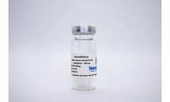 HumaMatrix - Model HML - Native Human-Derived ECM, Lyophilized Tissue