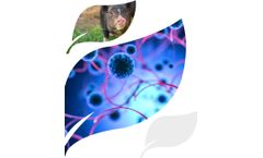 Ibio - Model 400 - Classical Swine Fever Vaccines