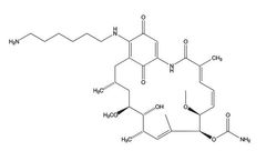 Cfm - Model 17-AH-Geldanamycin - Semi-Synthetic Analog of Geldanamycin Containing A Linker