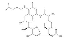 Cfm - Model 17-DMAP-GA - HSP90 Inhibitor