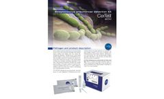 CerTest - Streptococcus Pneumoniae Detection Kit Datasheet