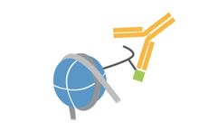 CUTANA - Rabbit IgG CUT&RUN Negative Control Antibody