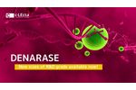 New sizes of DENARASE R&D grades - 1000 kU & 5000 kU - Video