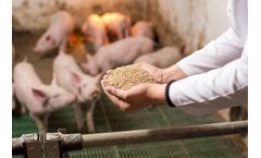 Phytase - Feed Enzyme