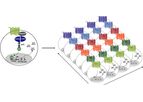 targetProfiler - Profiling Compound Selectivity Technology