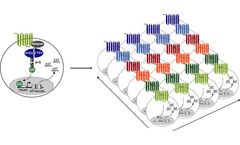 targetProfiler - Profiling Compound Selectivity Technology
