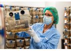 InnoSer - Facility Management Service