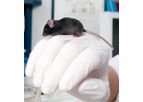 InnoSer - Sanitation and Cryopreservation Services