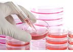 Inovarion - Cellular and Molecular Biology Technology