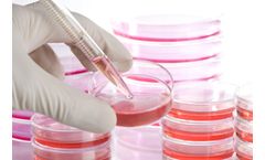 Inovarion - Cellular and Molecular Biology Technology