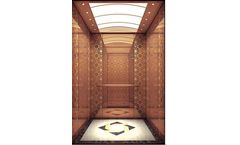 BD Fuji - Model MRL - Passenger Elevator for Hotel Clubhouse