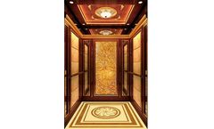 BD Fuji - Model MR - Passenger Elevator for Building Safety