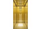 BD Fuji - 320kg Small Elevator for Villa