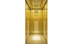 BD Fuji - 320kg Small Elevator for Villa