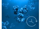 Rapid Prime - Positive Monoclonal Antibodies