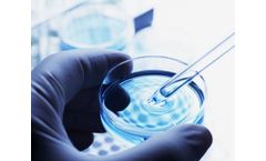 In Vitro Analysis