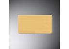 Frontier - Model FB3001 - New Transdermal Patch for Musculoskeletal Pain